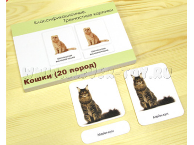 Трехчастные карточки «Кошки» (20 пород)