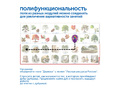 Природные богатства России с РобоМышью с системой хранения (4 робота)
