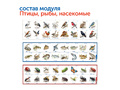 Природные богатства России с РобоМышью (с системой хранения, без робомыши)